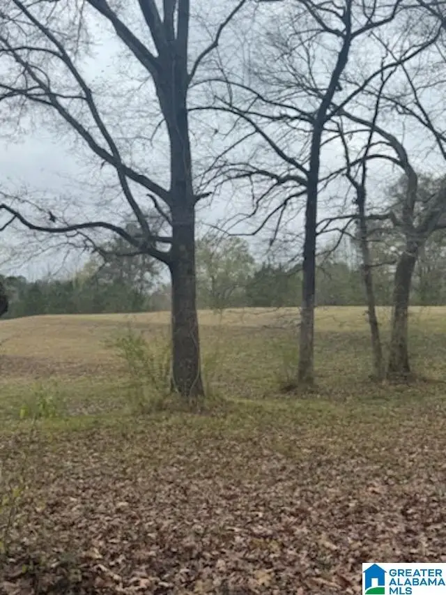 812 DEE HENDRIX ROAD, Hueytown, AL 35023 - Image #2