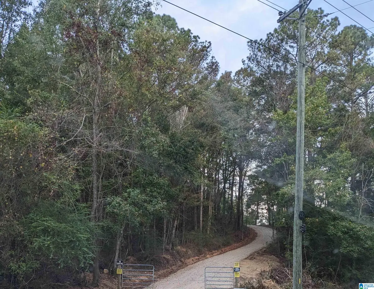 16091 JACKSON TRACE ROAD, Lincoln, AL 35096 - Image #1