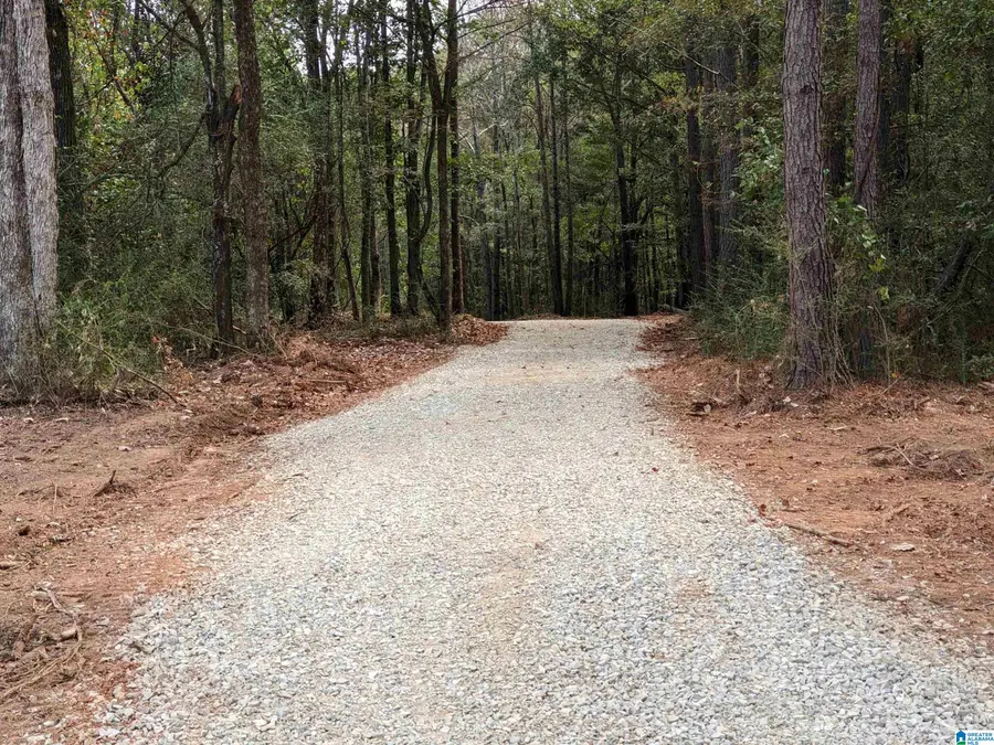 16091 JACKSON TRACE ROAD, Lincoln, AL 35096 - Image #2