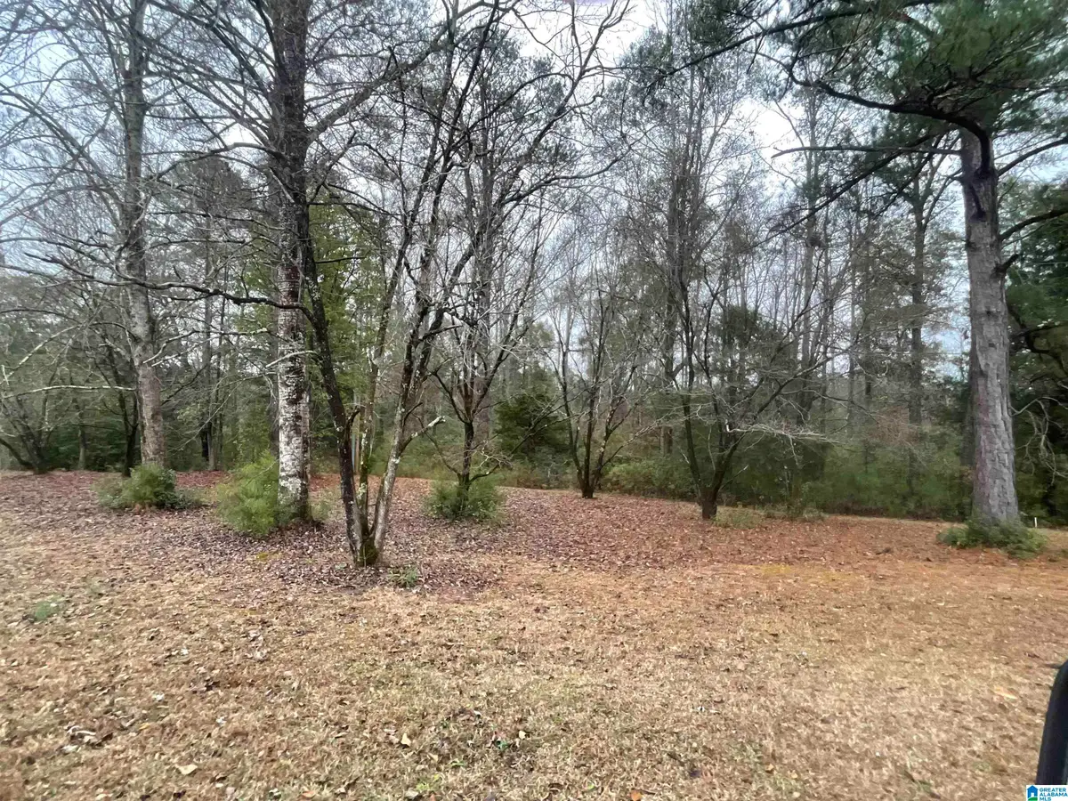 0 FRIENDSHIP CIRCLE, Clanton, AL 35045 - Image #1