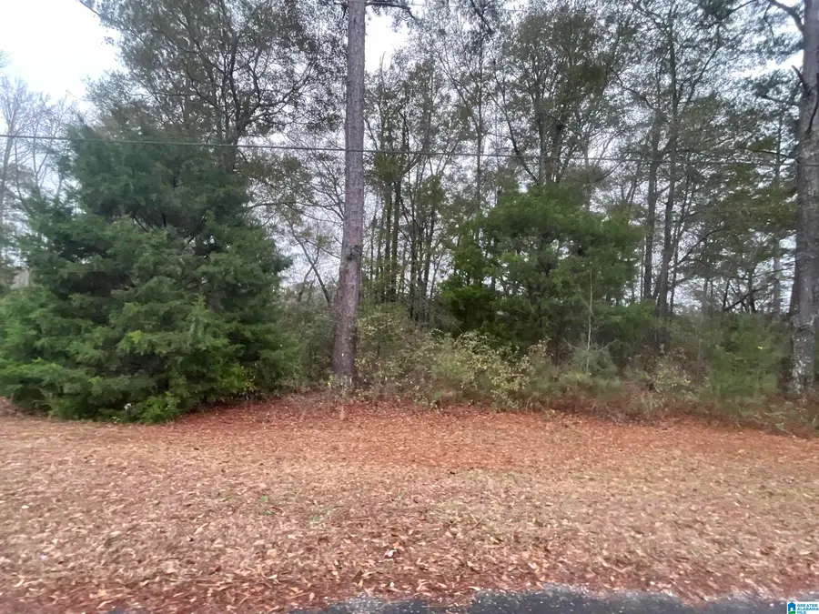 0 FRIENDSHIP CIRCLE, Clanton, AL 35045 - Image #3