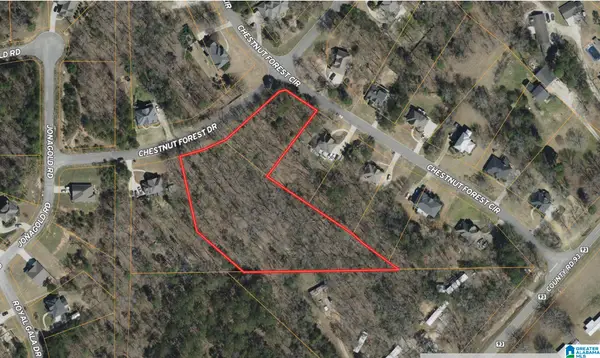 303 CHESTNUT FOREST DRIVE, Helena, AL 35080