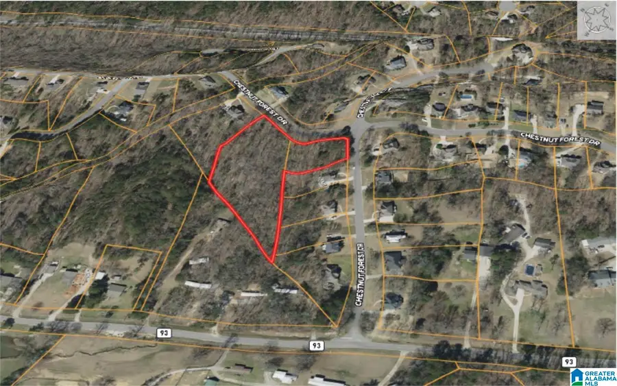 303 CHESTNUT FOREST DRIVE, Helena, AL 35080 - Image #2