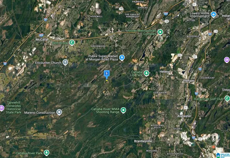 303 CHESTNUT FOREST DRIVE, Helena, AL 35080 - Image #3