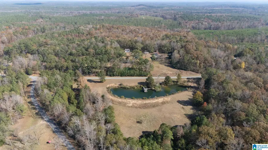 4150 COUNTY ROAD 211, Eutaw, AL 35462 - #2