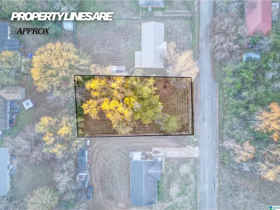 0 ROBERSON STREET SW, Jacksonville, AL 36265 - Image #3