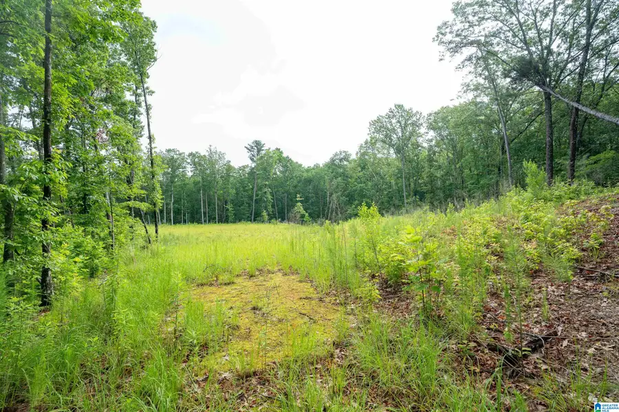 1 HAZELTINE WALK, Shoal Creek, AL 35242 - Image #3