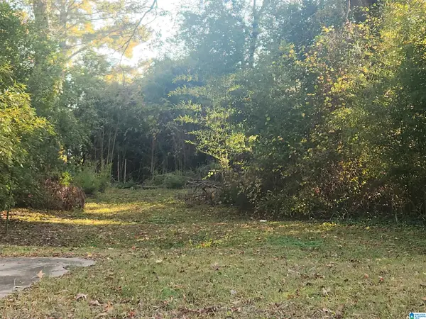 Lot 94 3RD AVENUE, Gadsden, AL 35901