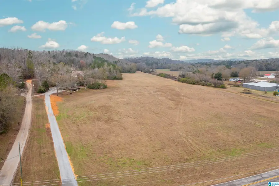 995 ANGEL DRIVE S, Jacksonville, AL 36265 - Image #2