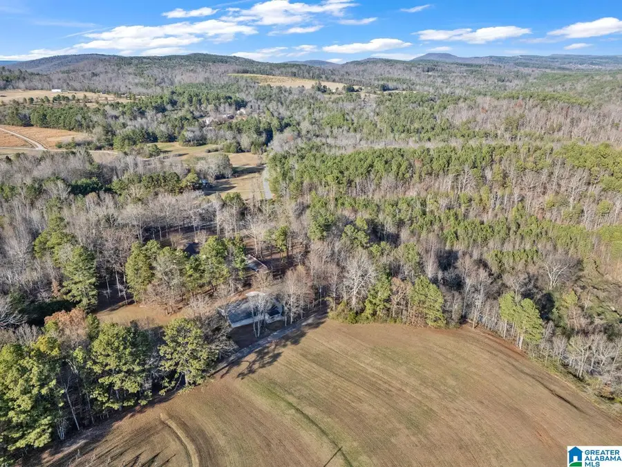 1163 COX COVE ROAD, Hayden, AL 35079 - Image #2