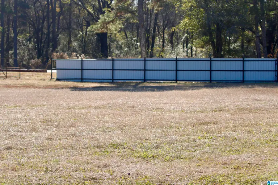 133 THOMPSON DRIVE, Vincent, AL 35178 - Image #3