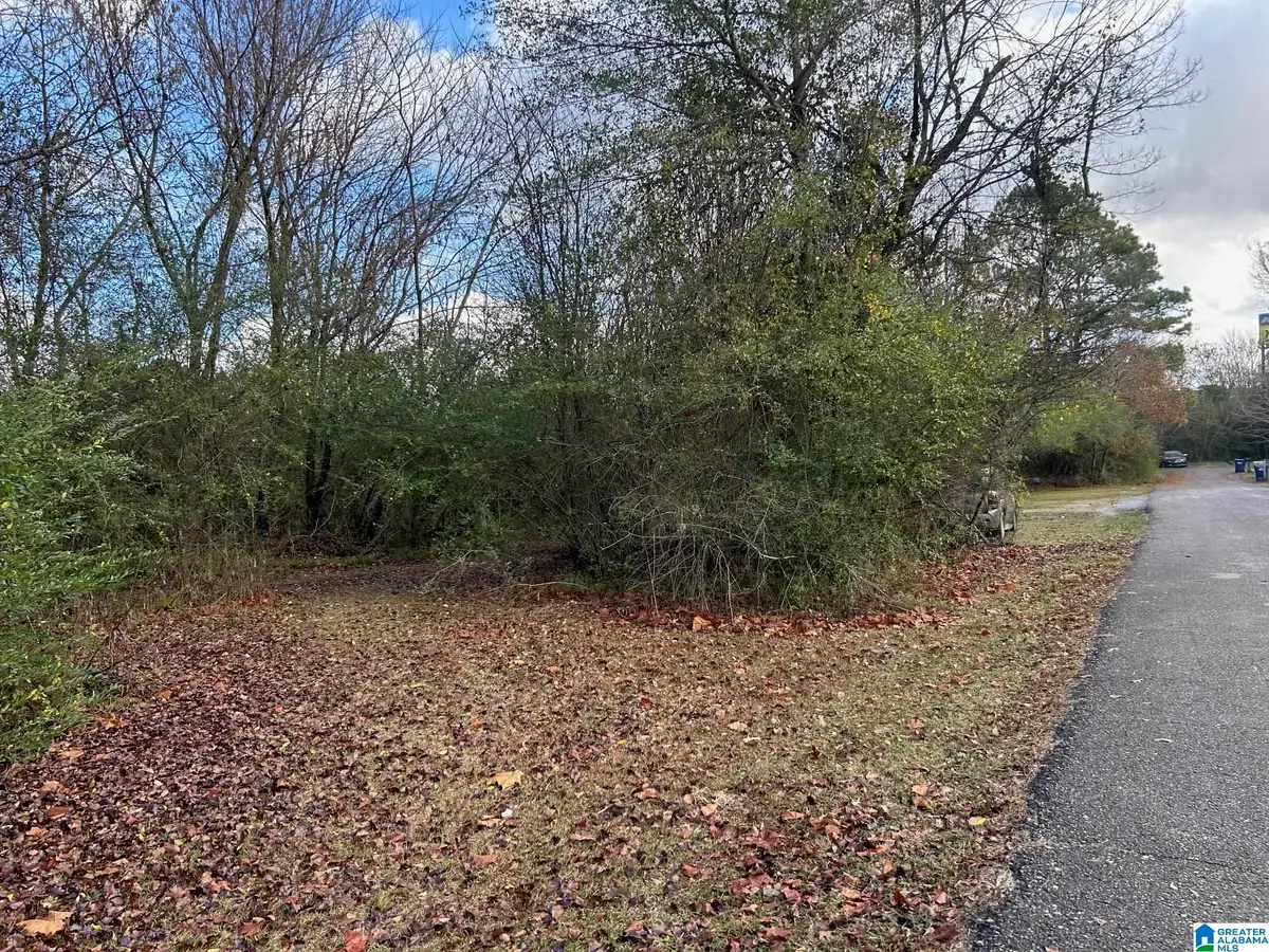 0 FRANCIS STREET, Anniston, AL 36206 - Image #1