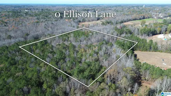 0 ELLISON ROAD, Jemison, AL 35085