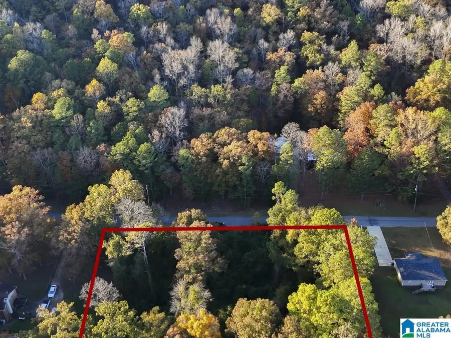 0 MILL CREEK ROAD, Warrior, AL 35180 - Image #3