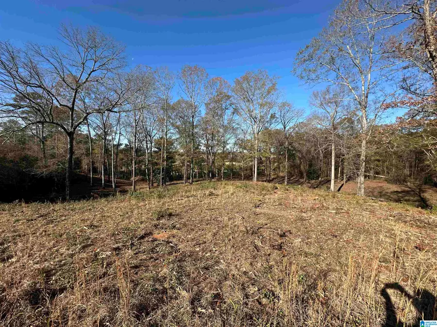 0 PEACH TREE DRIVE, Thorsby, AL 35171 - Image #2