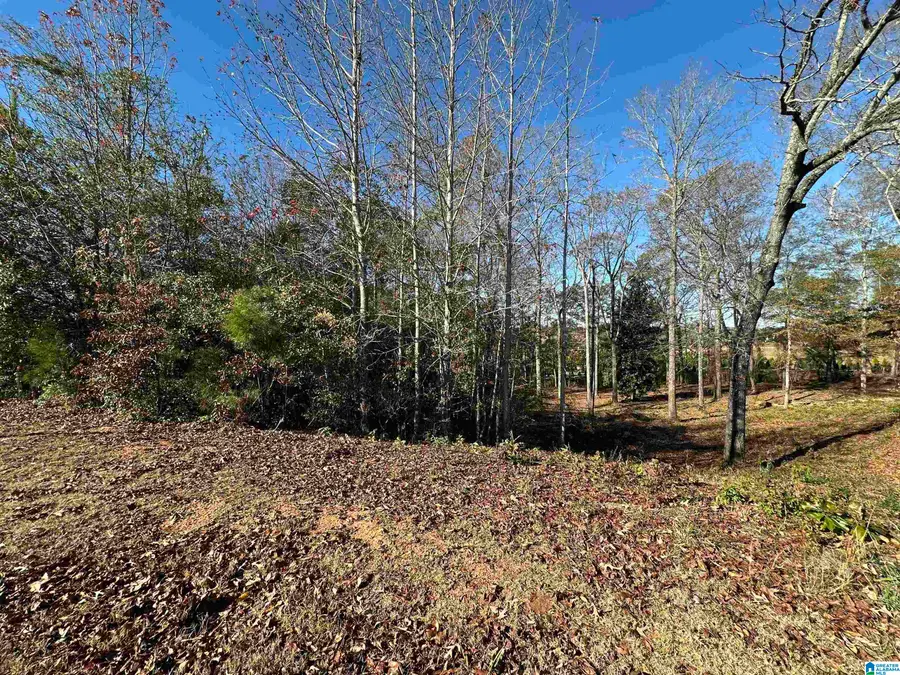 0 PEACH TREE DRIVE, Thorsby, AL 35171 - Image #3