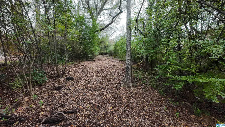 2212 PEACOCK LANE, Mountain Brook, AL 35223 - Image #3