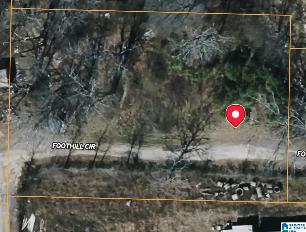 46 FOOTHILL CIRCLE, Arab, AL 35016 - Image #1