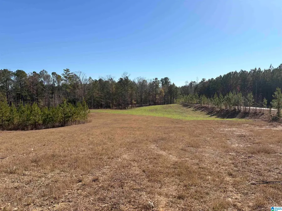 5000 JOINERTOWN ROAD, County, AL 35051 - Image #2