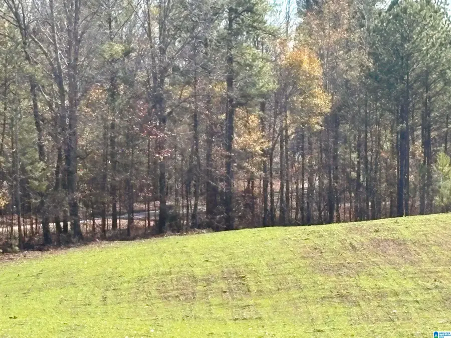 5000 JOINERTOWN ROAD, County, AL 35051 - Image #3