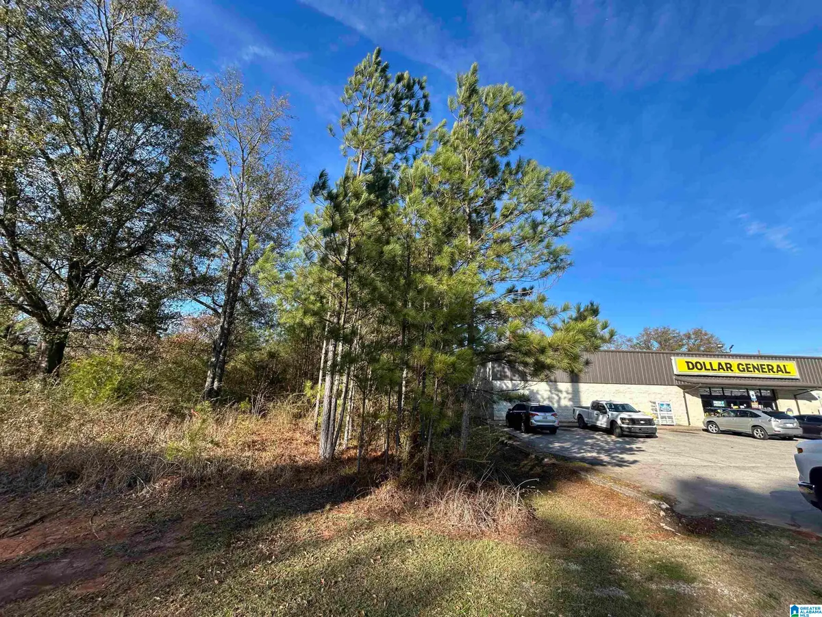 0 HIGHWAY 78, Eastaboga, AL 36260 - Image #1