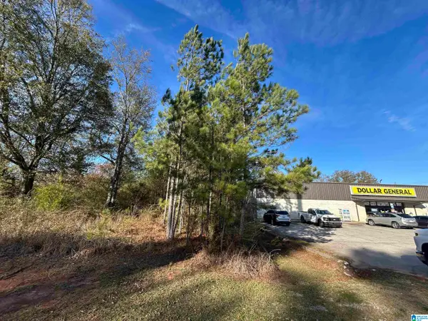 0 HIGHWAY 78, Eastaboga, AL 36260