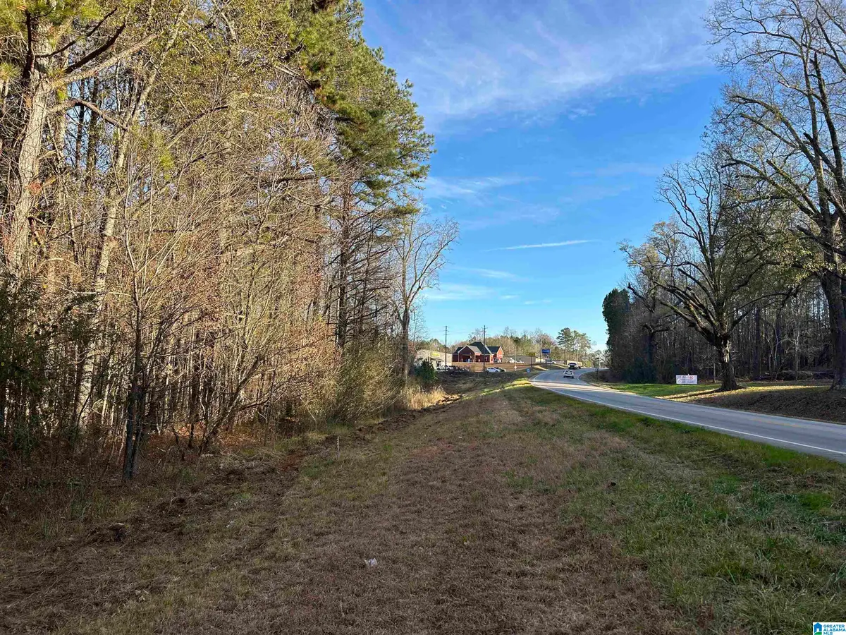 0 HIGHWAY 431, Heflin, AL 36264 - Image #1