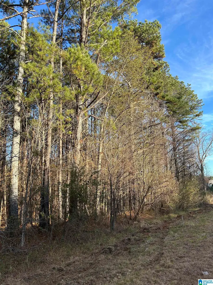 0 HIGHWAY 431, Heflin, AL 36264 - Image #2