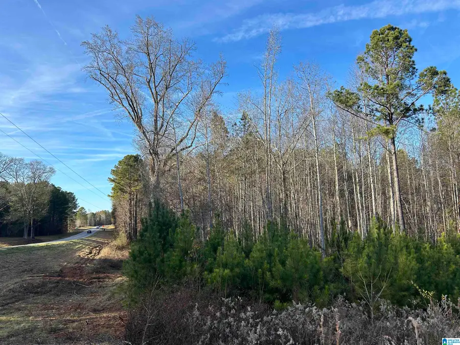 0 HIGHWAY 431, Heflin, AL 36264 - Image #3