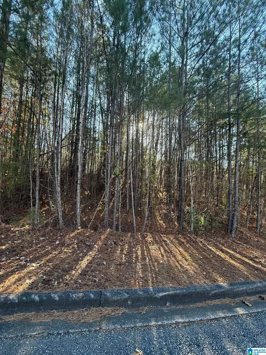 1018 LONG BRANCH PARKWAY, Calera, AL 35040 - Image #2