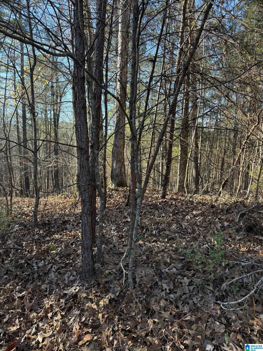 1018 LONG BRANCH PARKWAY, Calera, AL 35040 - Image #3