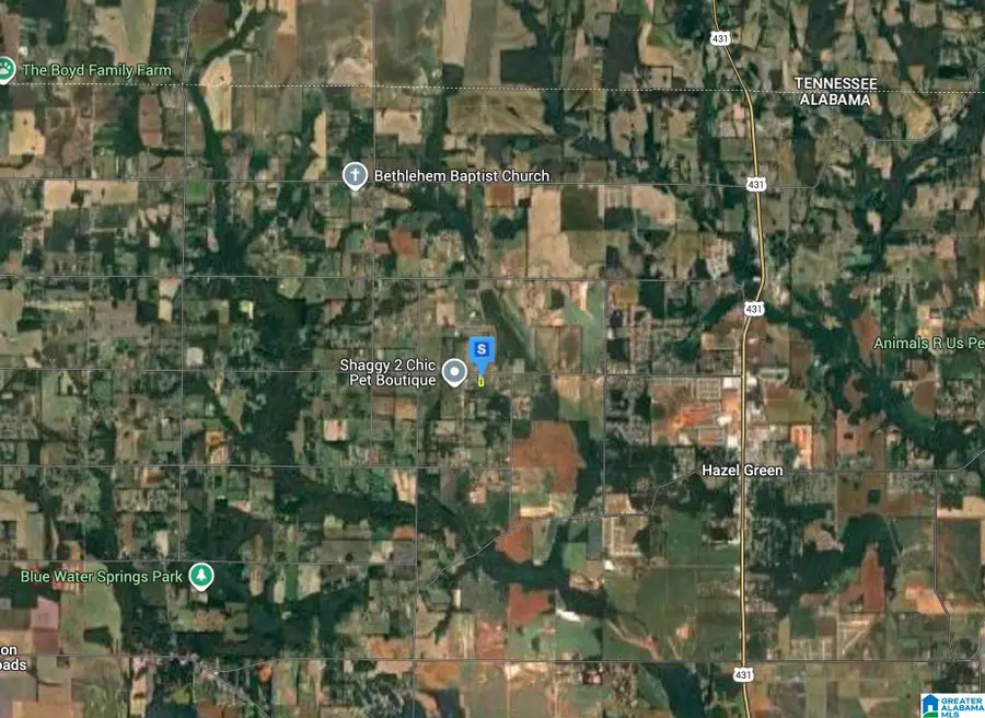 1301 CHARITY LANE, Hazel Green, AL 35750 - Image #3