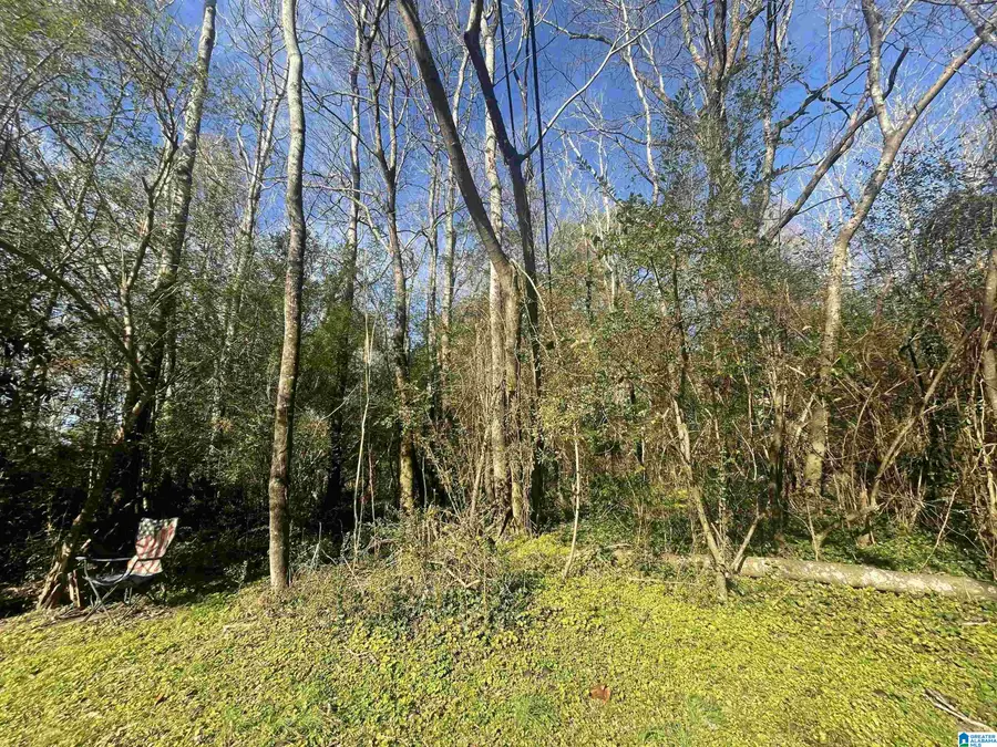 124 ROSS STREET, Adamsville, AL 35005 - Image #2