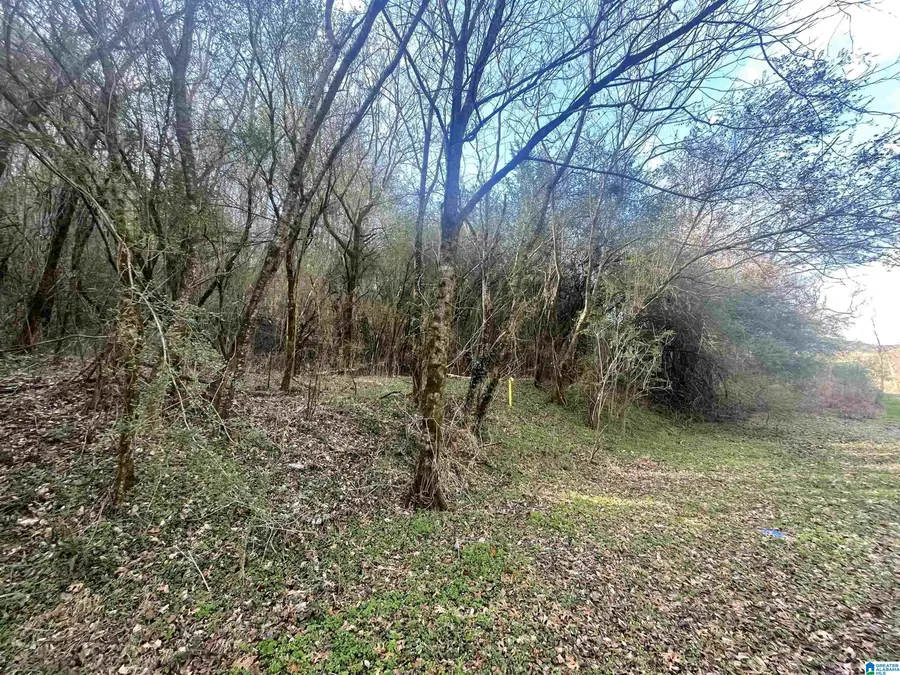 4380 CHERRY AVENUE, Graysville, AL 35073 - Image #2