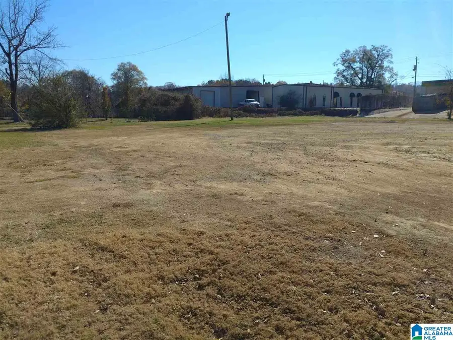 6178 HIGHWAY 11, Springville, AL 35146 - #2