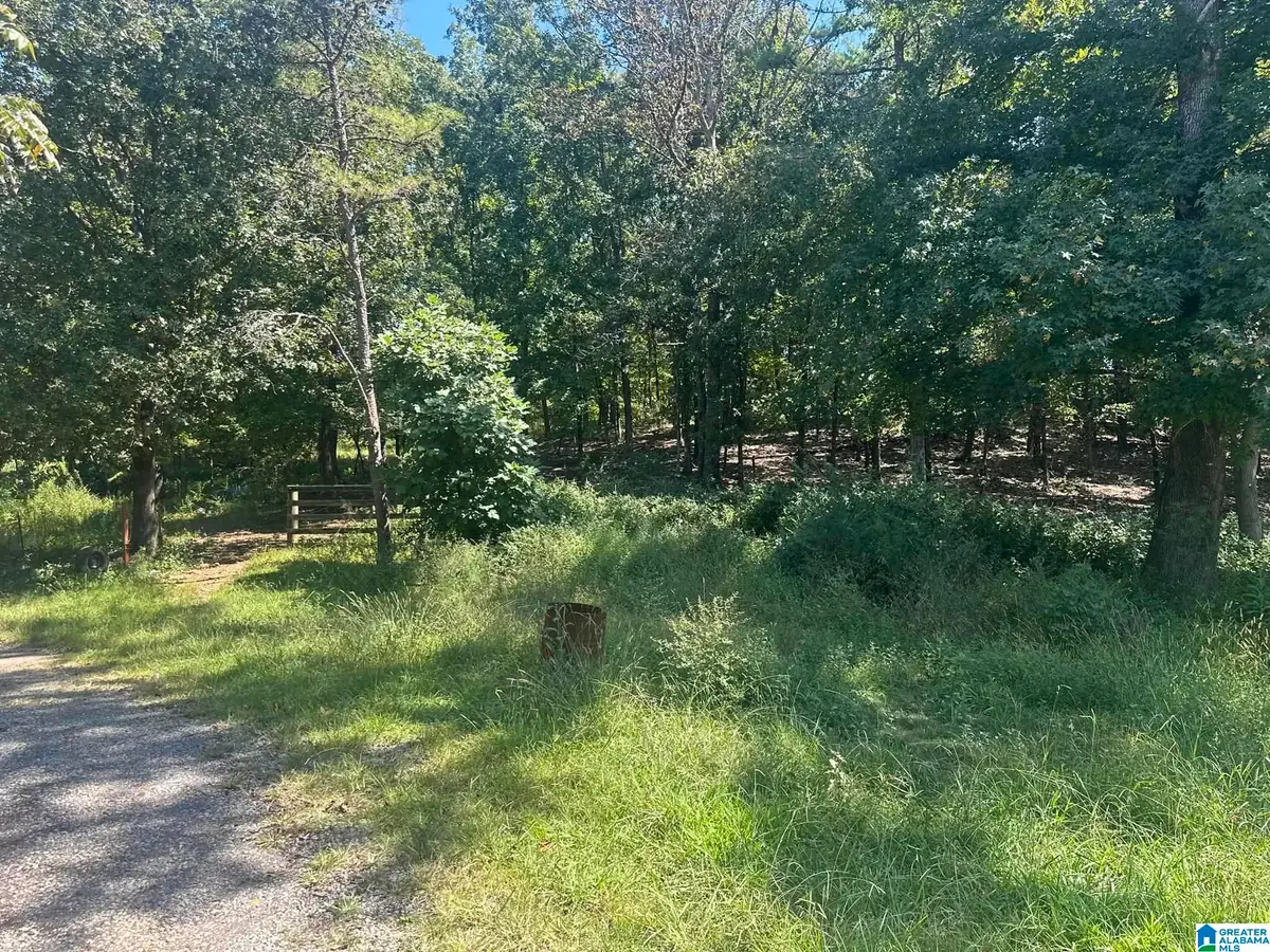 8 BLUE RIDGE DRIVE, Talladega, AL 35160 - Image #1