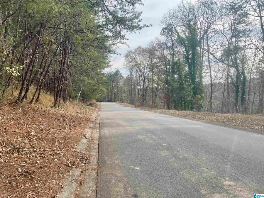 4137 RIVER VIEW COVE, Birmingham, AL 35243 - Image #2