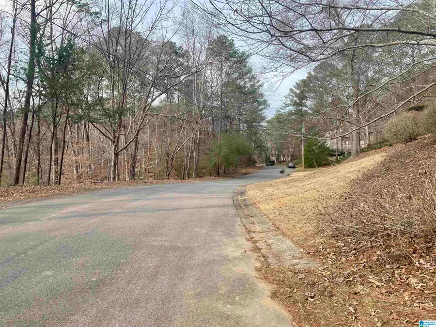 4137 RIVER VIEW COVE, Birmingham, AL 35243 - Image #3