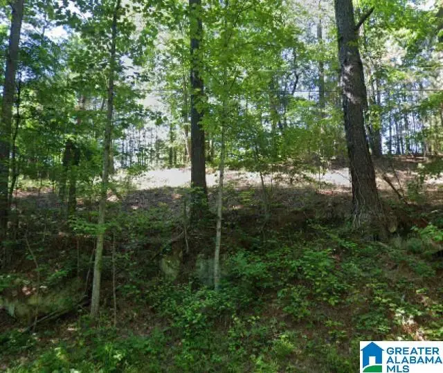 0 KIOWA ROAD, Pinson, AL 35130 - Image #1