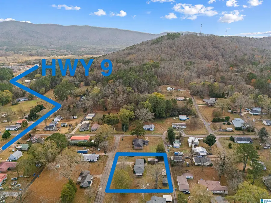 609 PIEDMONT AVENUE, Piedmont, AL 36272 - Image #2