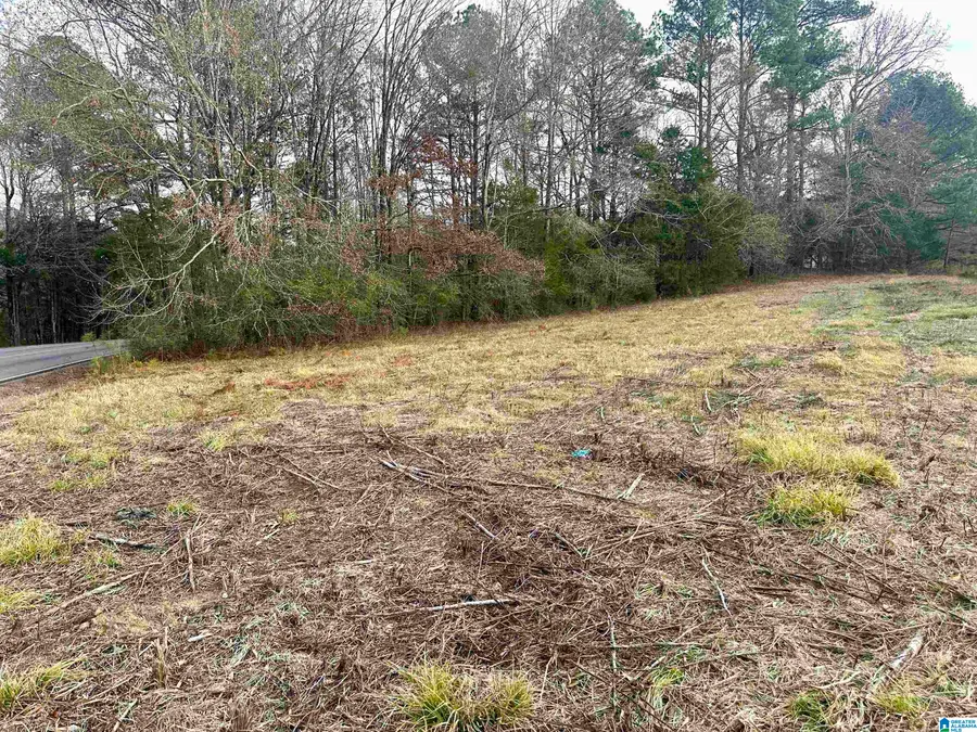 3468 POST OAK ROAD, Jacksonville, AL 36265 - Image #3