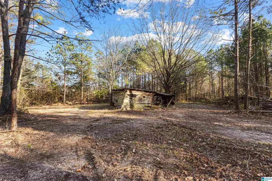 5.7 Acres HOLLINGSWORTH ROAD, Jacksonville, AL 36265 - Image #2