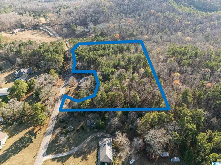 5.7 Acres HOLLINGSWORTH ROAD, Jacksonville, AL 36265 - Image #3