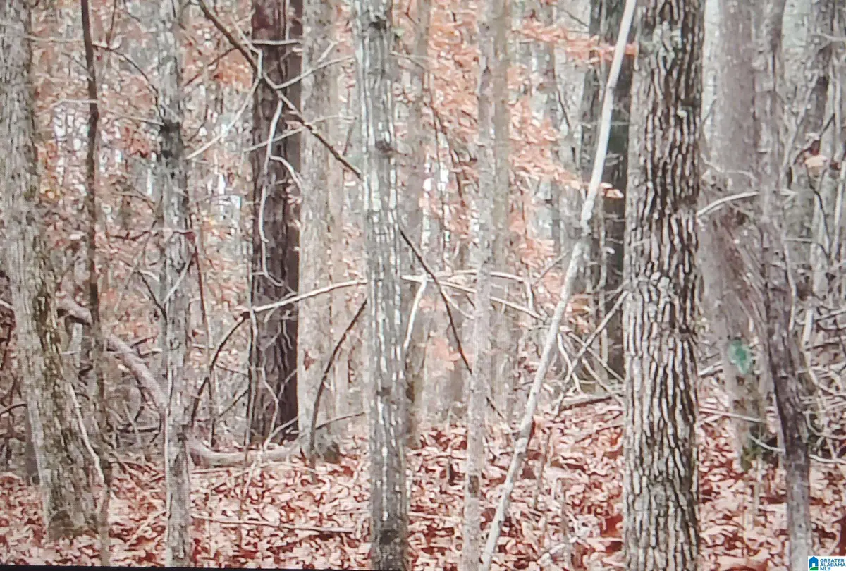 COUNTY HIGHWAY 26, Blountsville, AL 35031 - Image #1