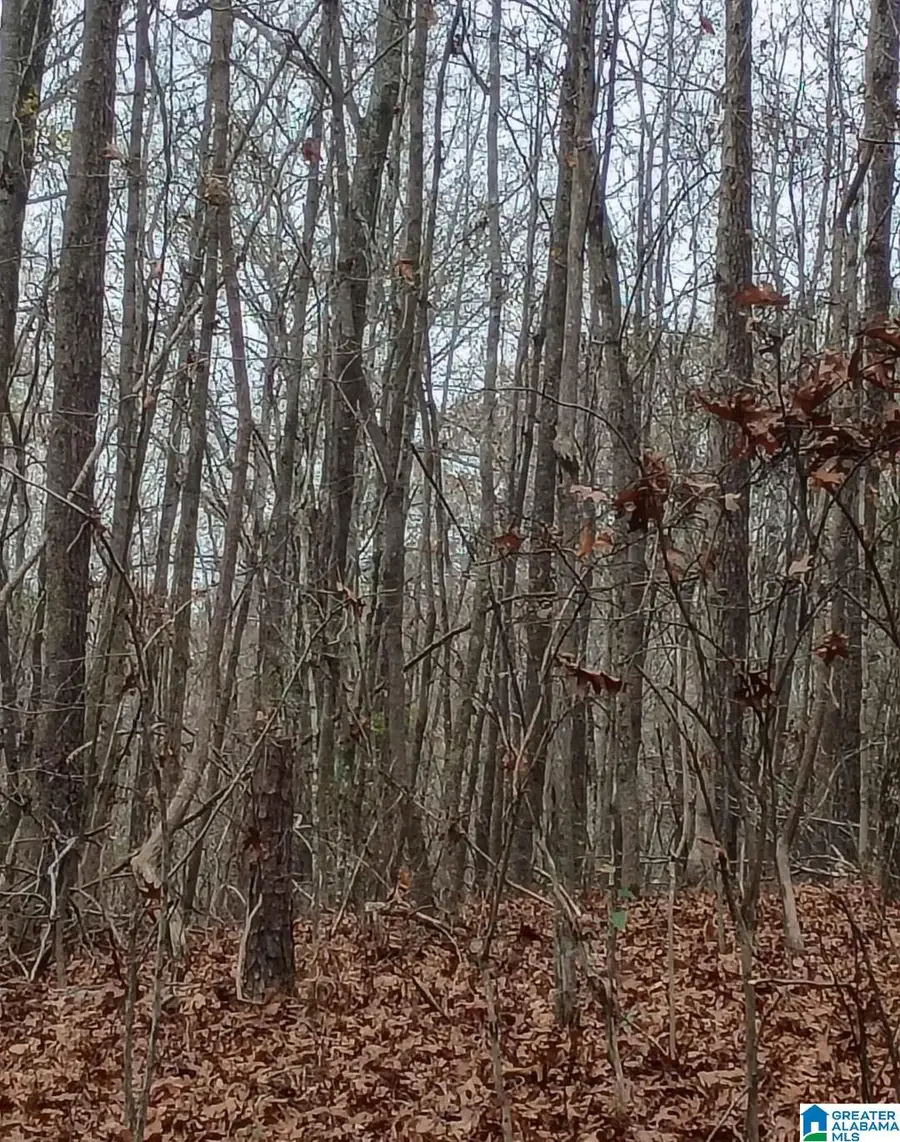 COUNTY HIGHWAY 26, Blountsville, AL 35031 - Image #2