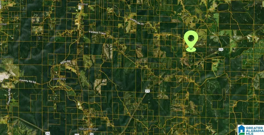 COUNTY ROAD 20, Haleyville, AL 35565 - Image #3