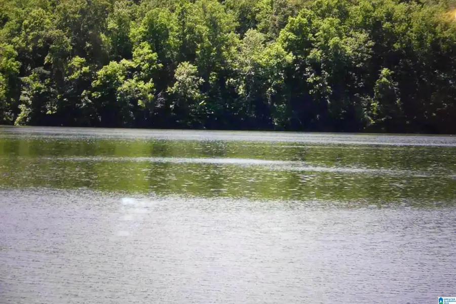 LOT 19 OUTBACK COVE DRIVE, Wedowee, AL 36278 - Image #2