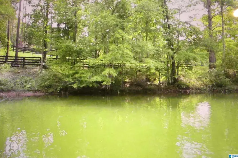 LOT 19 OUTBACK COVE DRIVE, Wedowee, AL 36278 - Image #3