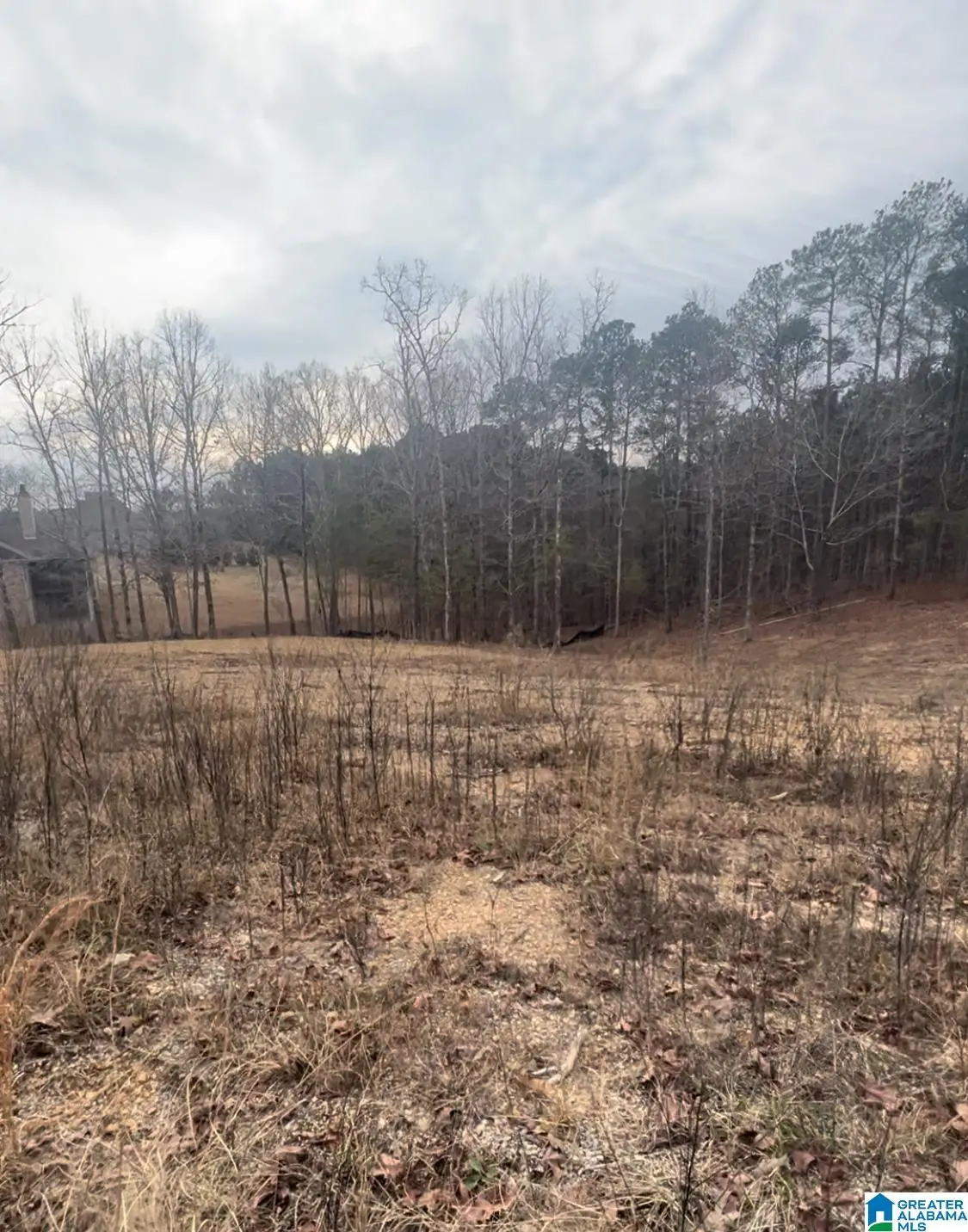 0 LAKESHORE LOOP, Oneonta, AL 35121 - Image #1