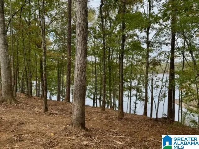 Lot 2 DANCING WATERS WAY, Wedowee, AL 36278 - #3